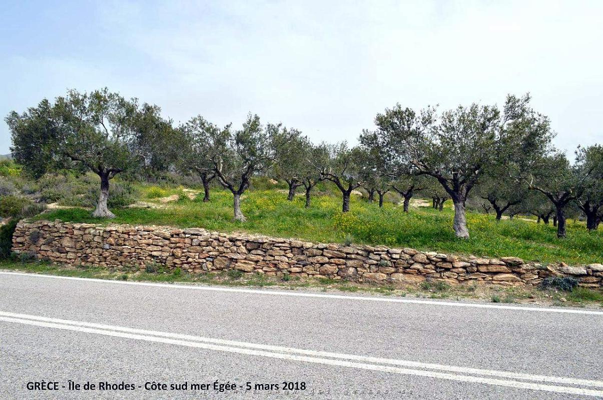 038- Tour de l'ile de Rhodes.JPG